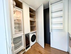 Skysuites@Anson (D2), Apartment #562187361